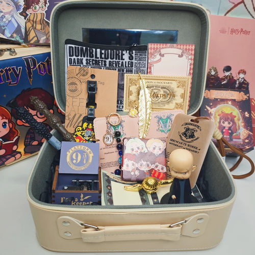 Harry Potter】 Mystery Gift Box